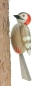 Preview: Buntspecht 14 cm