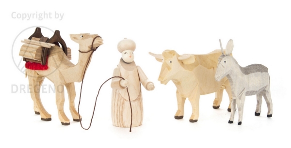 Kameltreiber, Kamel, Ochse & Esel natur (4)