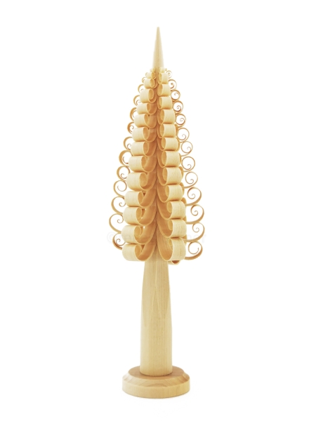 Spanfichte 20 cm