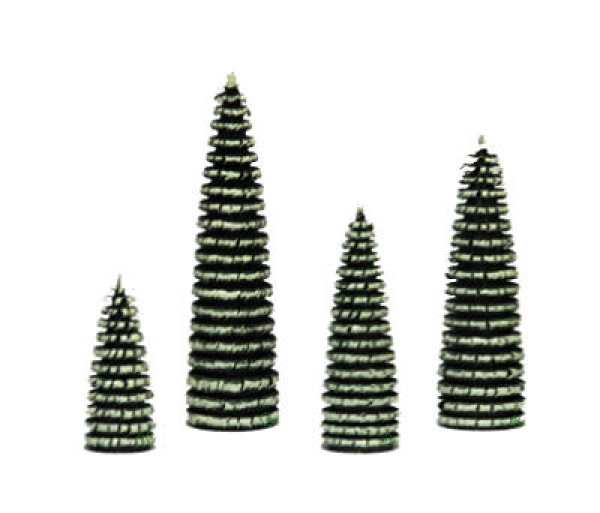 Ringelbaum o. Stamm grün/weiß 6 cm